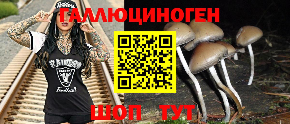 Галлюциногенные грибы прущие грибы  Вход с VPN  Набережные Челны 