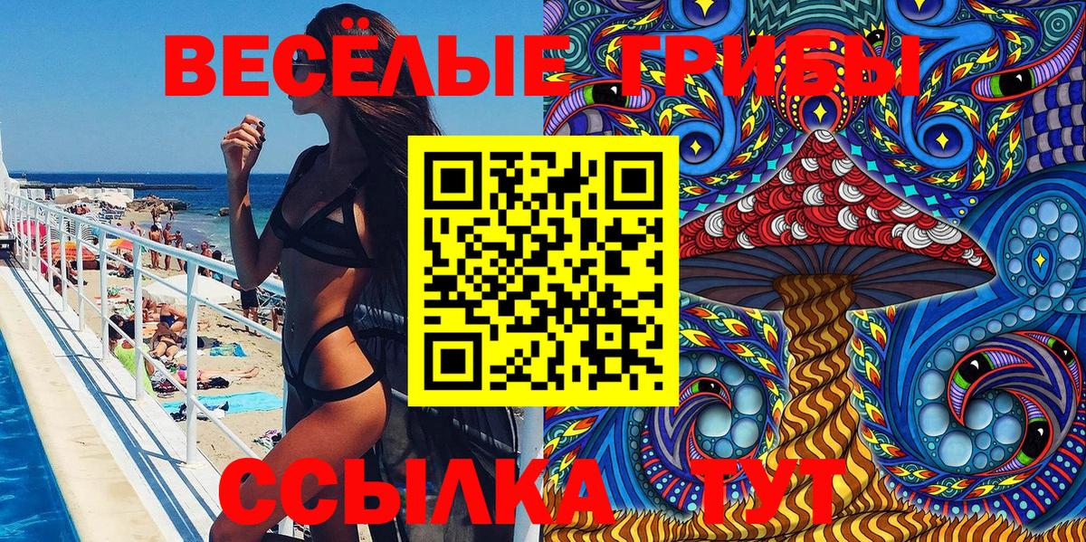 Псилоцибиновые грибы прущие грибы Набережные Челны